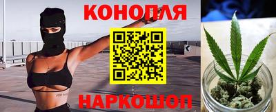 спайс Кингисепп