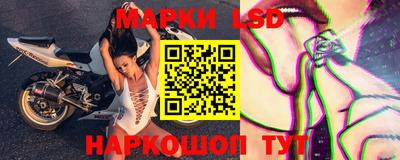 спайс Кингисепп