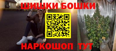 спайс Кингисепп