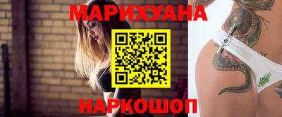 спайс Кингисепп