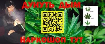 прущие грибы Кимры