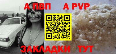 спайс Кингисепп