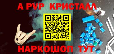 спайс Кингисепп