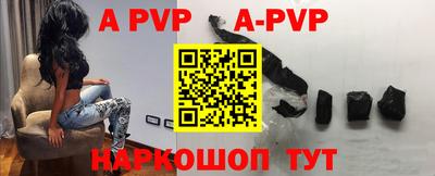 спайс Кингисепп