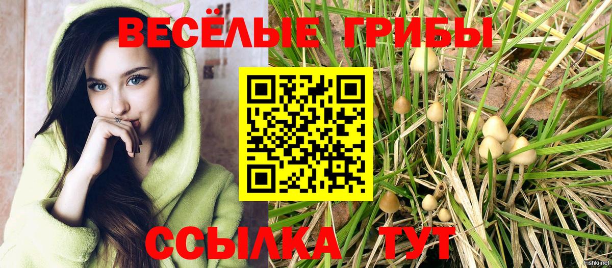Псилоцибиновые грибы ЛСД Комсомольск-на-Амуре